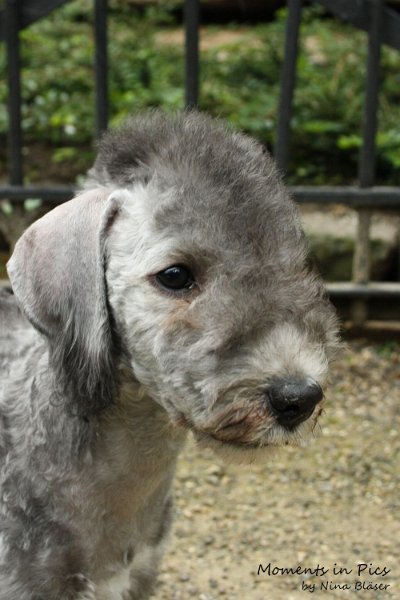 Antares 2009-08-01 & 02 (38).JPG